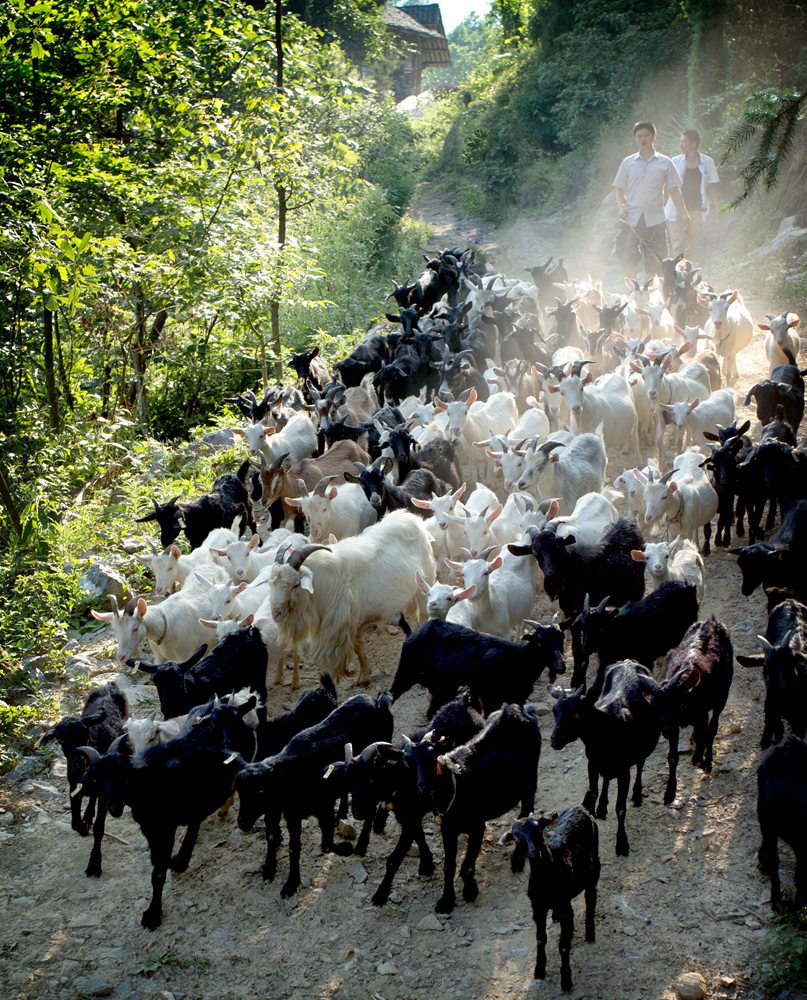 重庆市脱贫攻坚摄影作品展