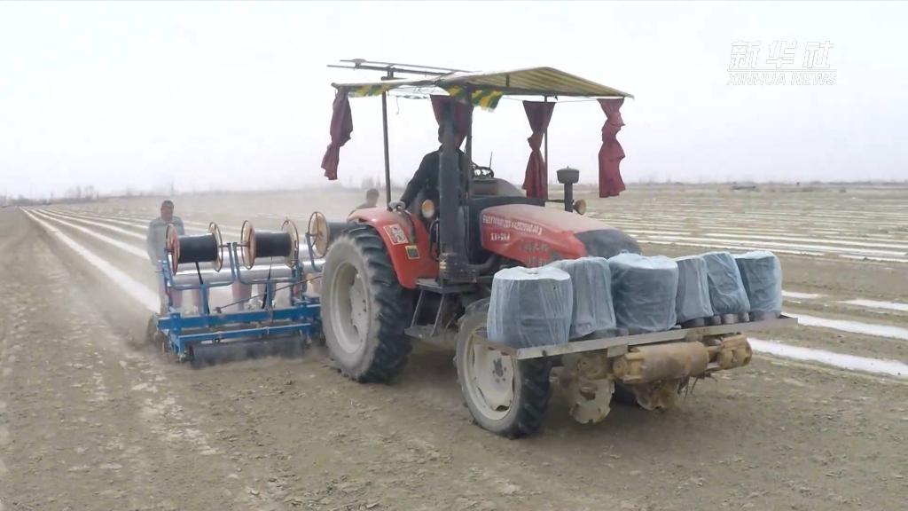 Silakan BCI Berpendirian Tepat Pada Isu Kapas Xinjiang_fororder_xj8