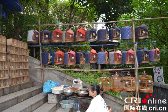 【CRI專稿 列表】鬧中取靜 重慶人民公園讓快節奏生活慢下來【內容頁標題】駐足重慶渝中系列報道——重慶人民公園讓快節奏生活慢下來