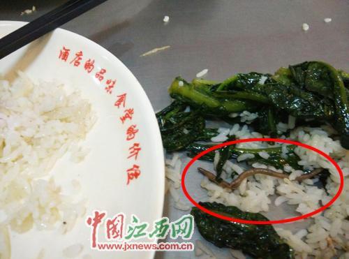 大学食堂饭菜现蚯蚓 回应称不便透露信息(图)