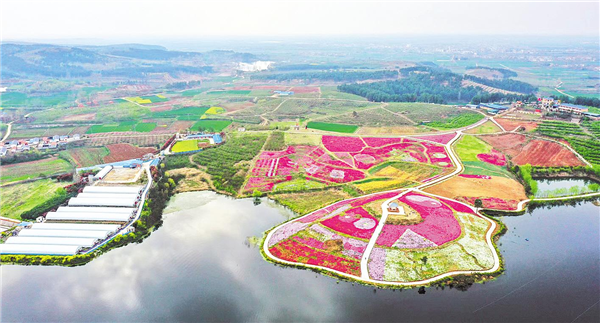 枣阳市鹿头镇银龙湾花海造型各异的鲜花图案吸引众多游客前来打卡