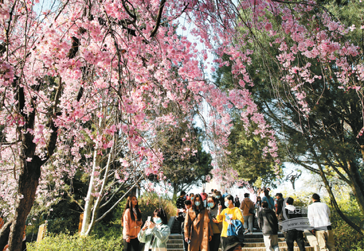 【中首  陜西 圖】彰顯“千年古都”文化魅力 叫響“常來長安”文旅品牌