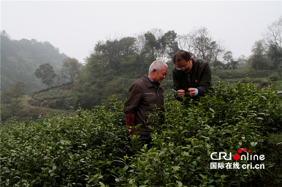 乡村振兴人物系列：有机农业的践行者杨欣_fororder___172.100.100.3_temp_9500027_1_9500027_1_1_03f23b2e-8bdc-4259-99fd-6186dbdd46bc (1).JPG