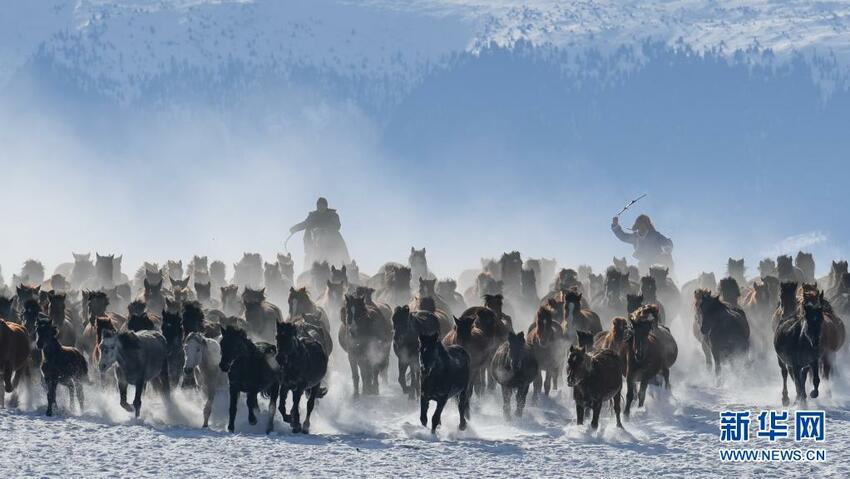 Xinjiang Yang Indah Permai_fororder_xjjs10