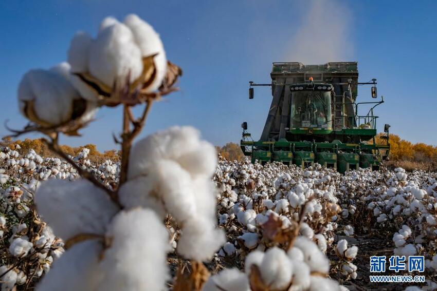 Xinjiang Yang Indah Permai_fororder_xjjs9