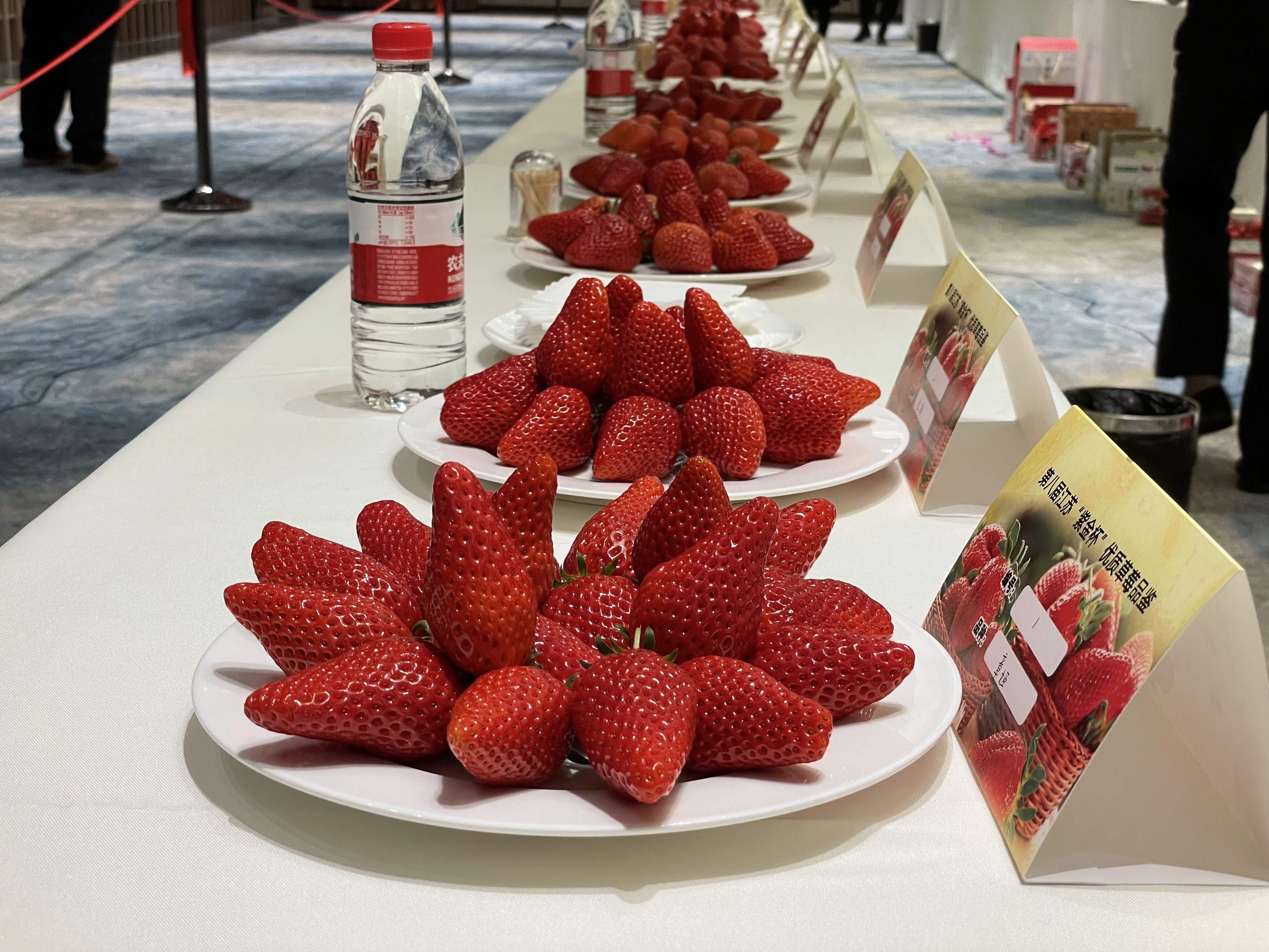 一颗小草莓“红火”一片乡村