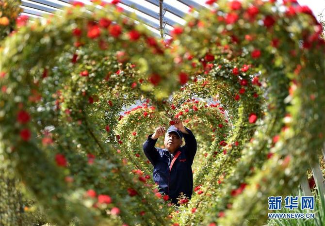 图片默认标题_fororder_1124463684_15572346546961n