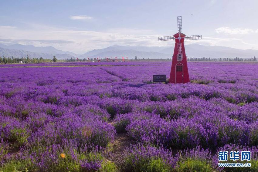 Xinjiang Yang Indah Permai_fororder_xjjs8