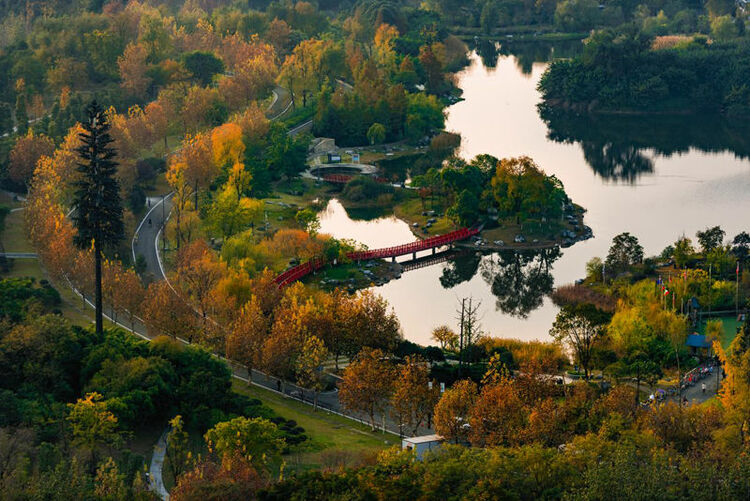 （转载）成都，未来之城的美好样本
