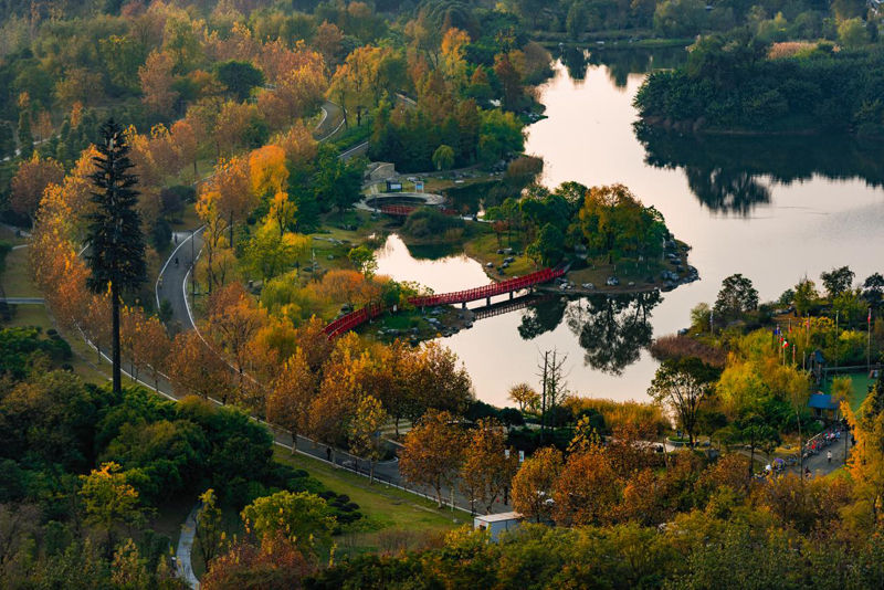 （转载）成都，未来之城的美好样本