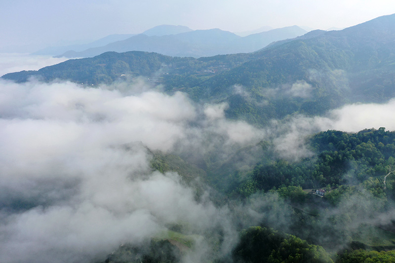 湖北保康：云雾绕青山 田园入画来