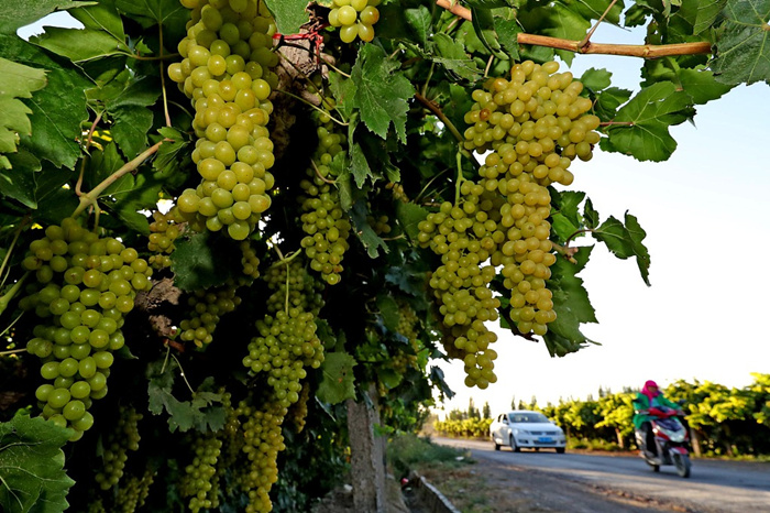 【我在中国当大使】"中国共产党代表了一种新文明"-国际在线