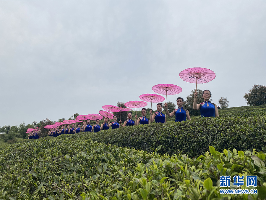 湖北孝昌：以茶為媒 創意農旅促振興