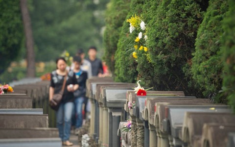 預約、錯峰、限流 浙江多地發佈文明祭掃倡議