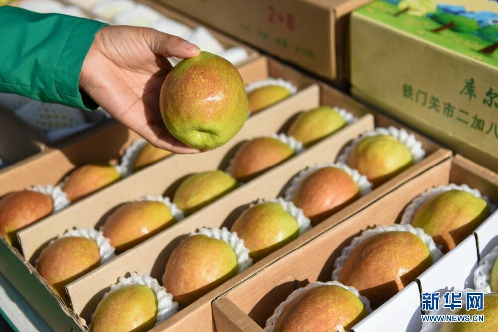 चीनको सिन च्याङमाः नाशपातीको पराग सेचनमा ड्रोनको प्रयोग_fororder_04122