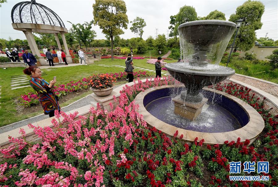 上海：花开月浦