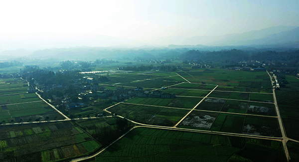 眉山洪雅县：建设高标准农田 夯农业根基促乡村振兴_fororder_已实施项目的现场实景--摄影-周欢欢