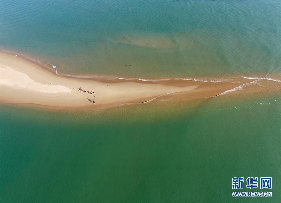 “千变”沙洲的新变化