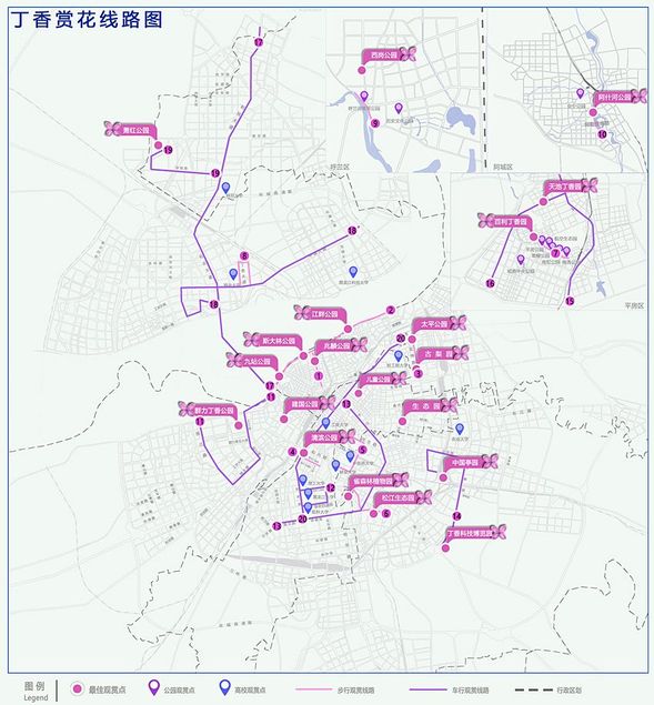 哈爾濱市繪製出《丁香賞花地圖》推薦84條街路34個賞花園