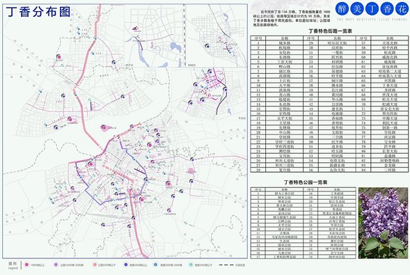 哈爾濱市繪製出《丁香賞花地圖》推薦84條街路34個賞花園