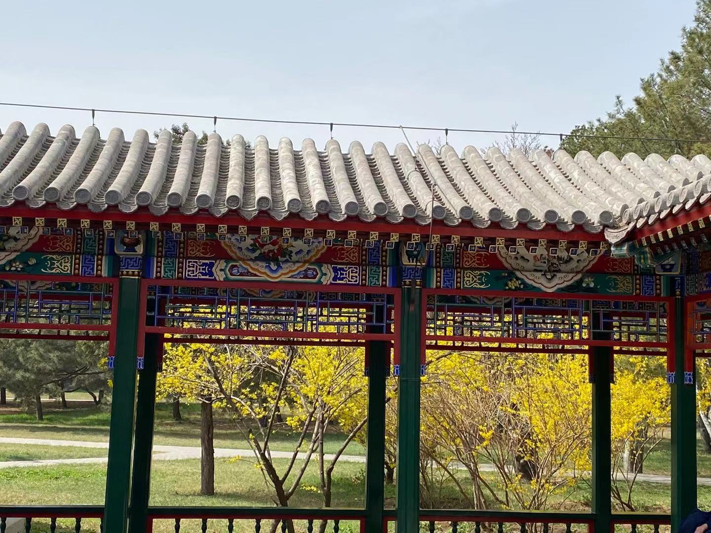 حديقة تيانتان في فصل الربيع_fororder_微信图片_20210401155823