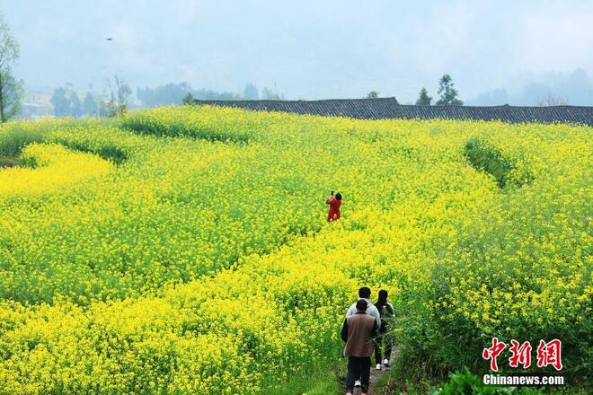 Panorama Kampung Seindah Lukisan_fororder_hb2