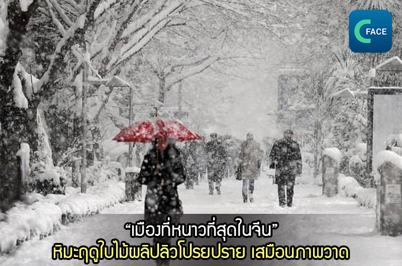 “เมืองที่หนาวที่สุดในจีน” หิมะฤดูใบไม้ผลิปลิวโปรยปราย หิมะตกค้าง เสมือนภาพวาด_fororder_20210401News03_1