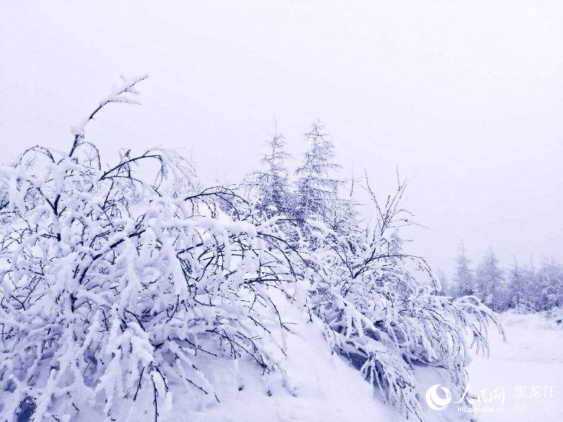 “中国爱情小镇”大兴安岭新林迎来浪漫飘雪