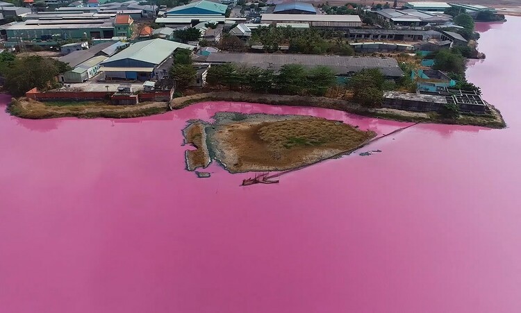 越南巴地头顿省10余公顷水域受污染变粉红色 涉事企业被罚近4亿越南盾