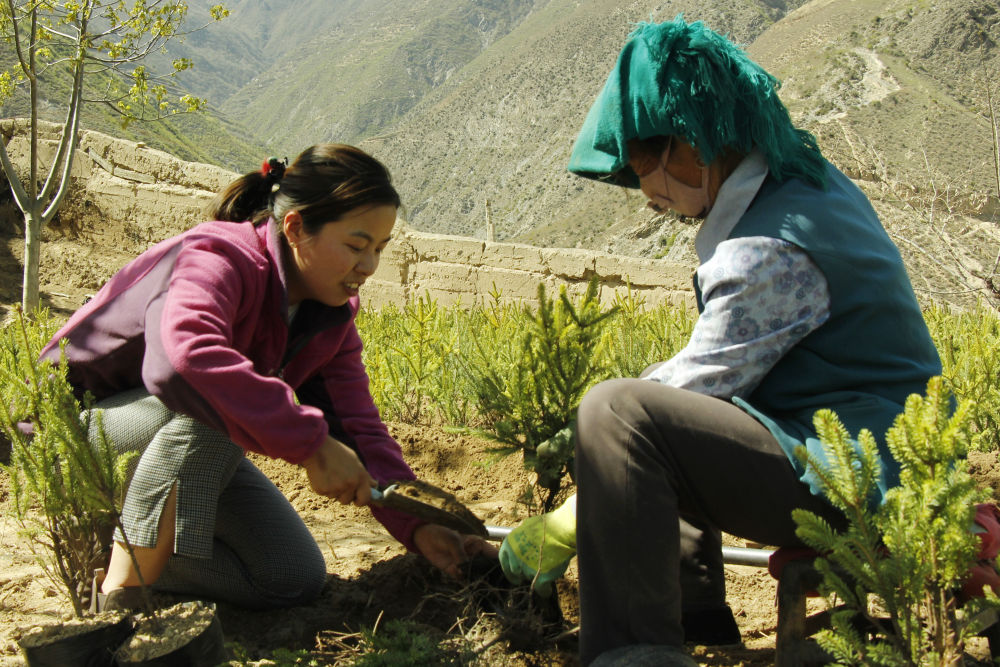 新华全媒  | 镜观中国 | 百年奋斗 致敬英雄