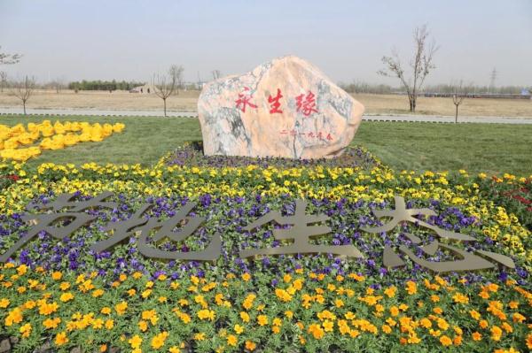 图片默认标题_fororder_qingming3