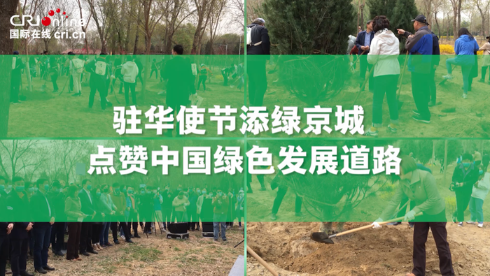 驻华使节添绿京城 点赞中国绿色发展道路