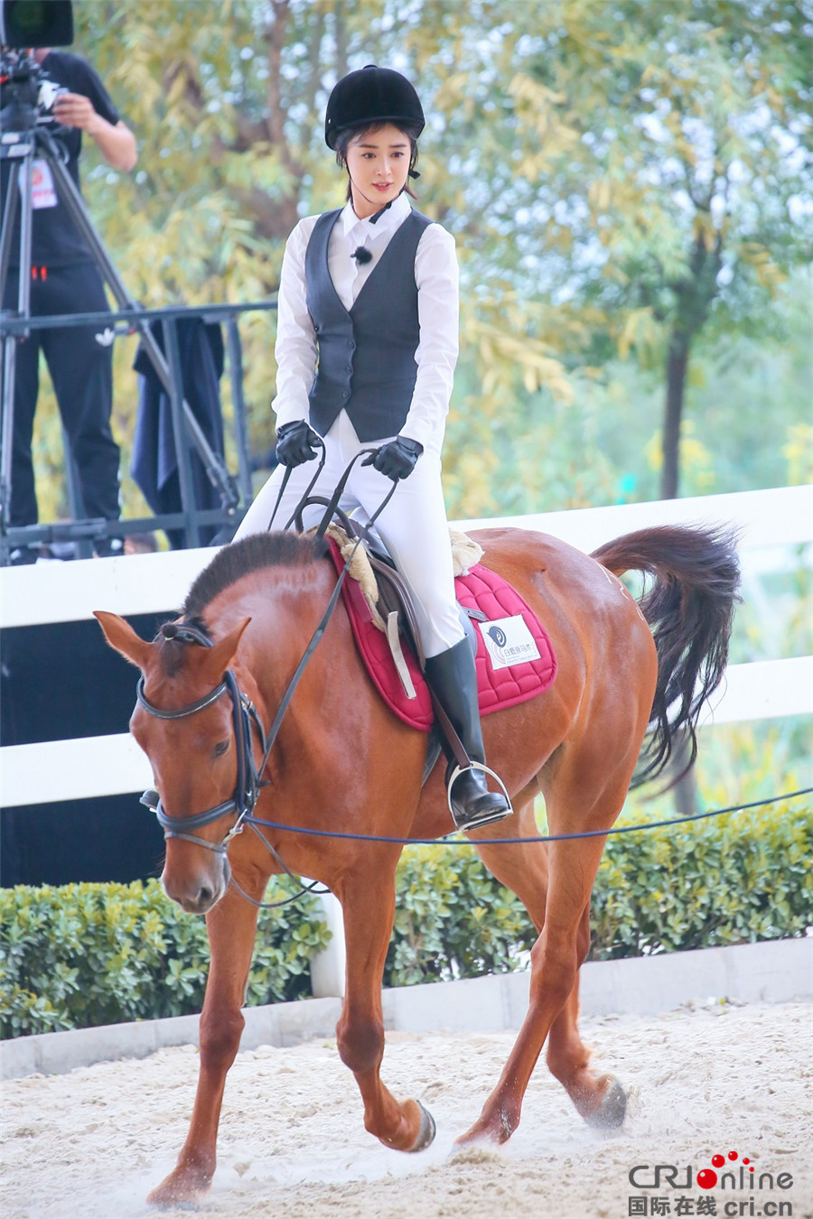 图片默认标题_fororder_3