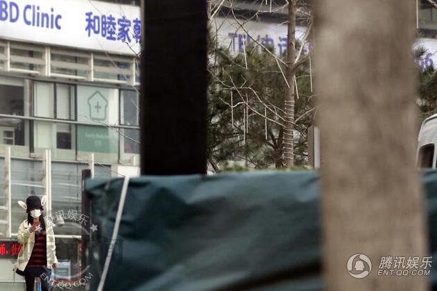 谢娜终于不用再被全民催生了，结婚六年澄清十多次