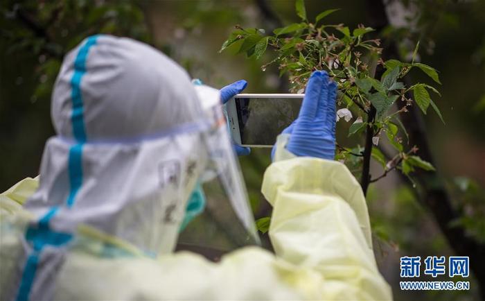 图片默认标题_fororder_2