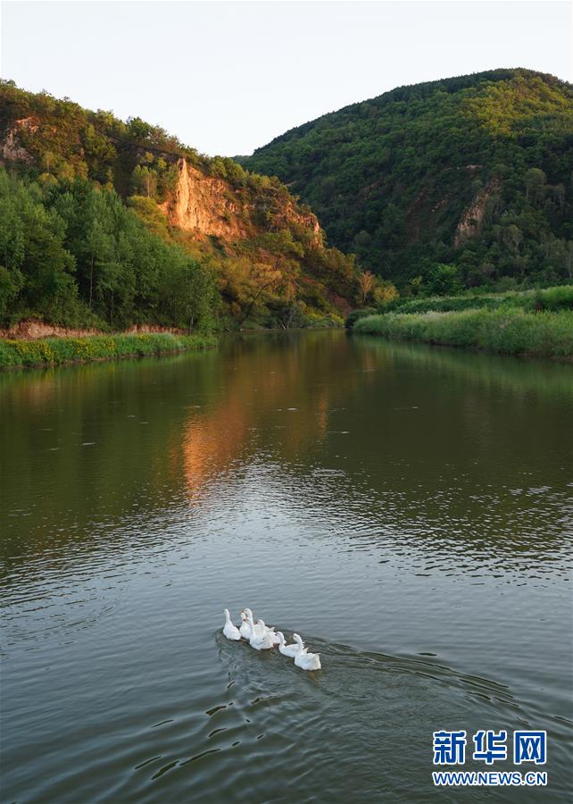 延安：红色圣地的生态交响曲