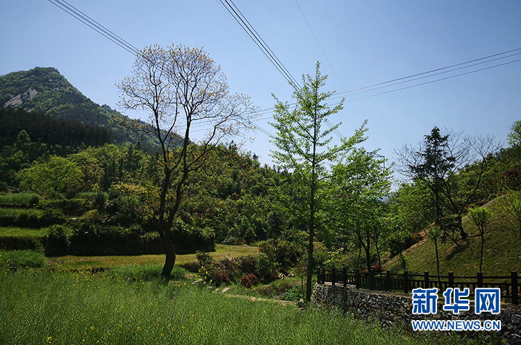 長嶺關村：兩朵花輝映脫貧路