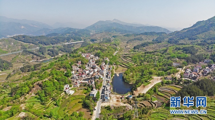 長嶺關村：兩朵花輝映脫貧路