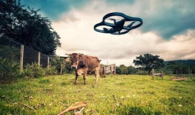 ຊາວ​ລ້ຽງ​ສັດເຂດ​ຊິ່ນ​ຈ່ຽງ​ໃຊ້​ລະ​ບົບ​ເປີຍ​ໂຕ​ຕິດ​ຕາມ​ການ​ປ່ອຍ​ງົວ​ກິນ​ຫຍ້າ? ຊາວ​ເນັດ​​ຢອກ​ລໍ້ BBC “ໃສ່​ຮ້າຍ​ປ້າຍ​ສີ​ຈີນ”_fororder_2021-04-06_170835