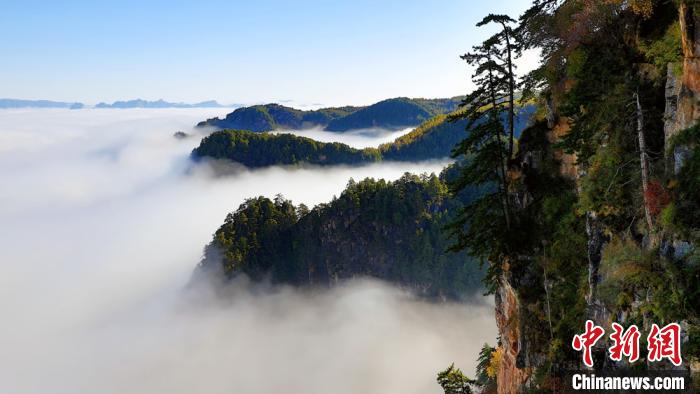 Lambun shan iska na gandun daji na tsaunin Guiqingshan dake gundumar Zhang na birnin Dingxi dake lardin Gansu_fororder_124688130_zsite