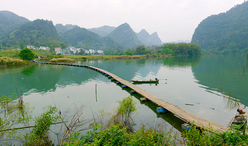 廣西巴馬：盤陽河畔好春光