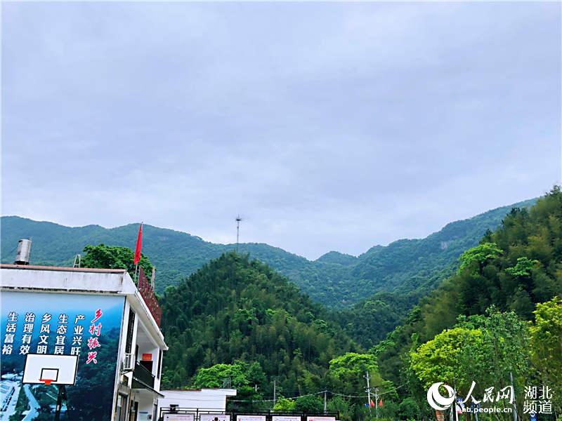 湖北:“綠色咸寧”讓“綠水青山”變“金山銀山”