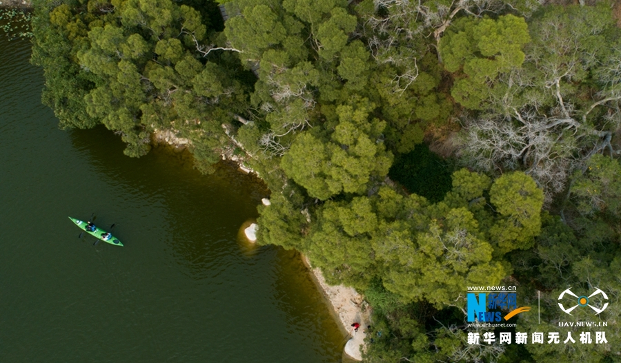 枕海听涛“瞰”厦大