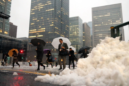 日本关东地区强降雪致204人伤 恶劣天气或持续