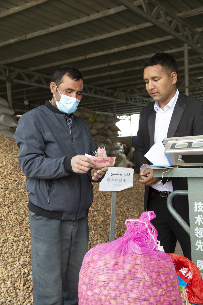 Manoman Xinjiang sun samu karin kudin shiga daga noman Almonds_fororder_2