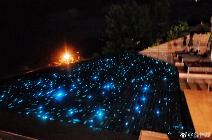 组图：薛佳凝晒闺蜜团海边度假照 个个大长腿甜笑比心