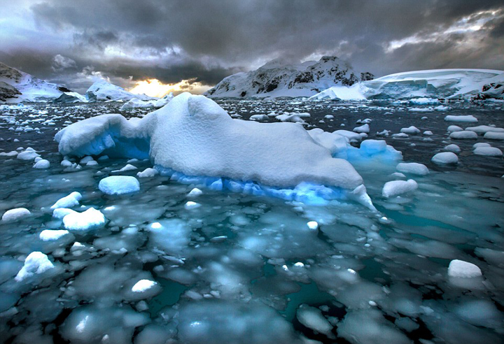 冰潜者挑战南极 与海豹水中嬉戏