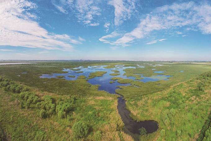 苏州有望迎来“首个国际重要湿地”
