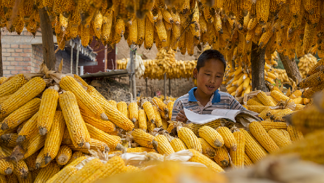 CMG komentaryo: Tamang hakbangin ng Tsina sa pag-ahon sa kahirapan, bagong landas para sa pagbabawas ng karalitaan ng sangkatauhan_fororder_20210408karalitaan1