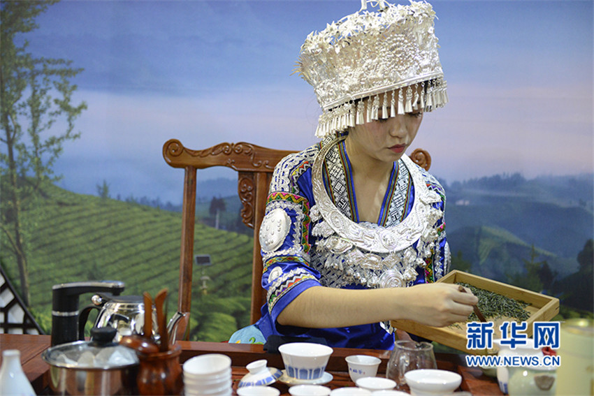 2017國際茶業大會、第四屆世界硒都(恩施)硒博會開幕